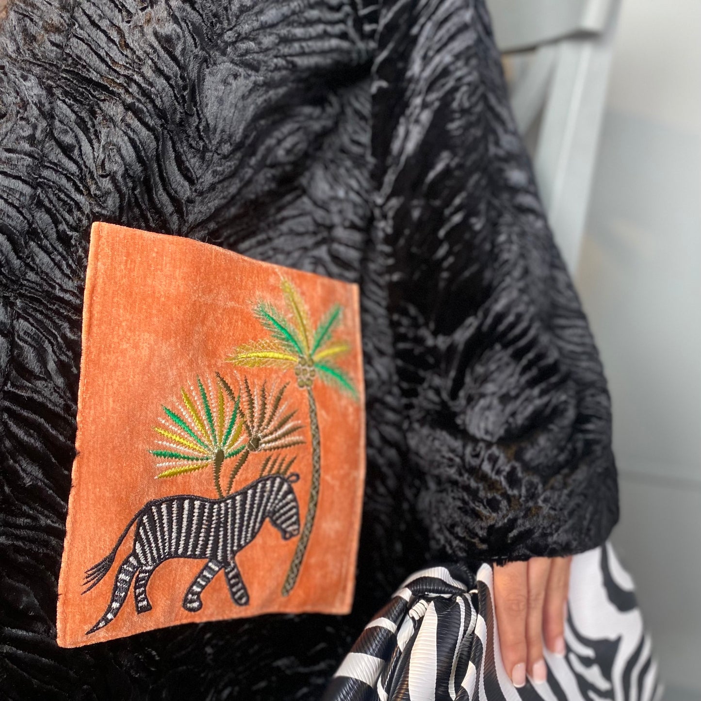 Zebra